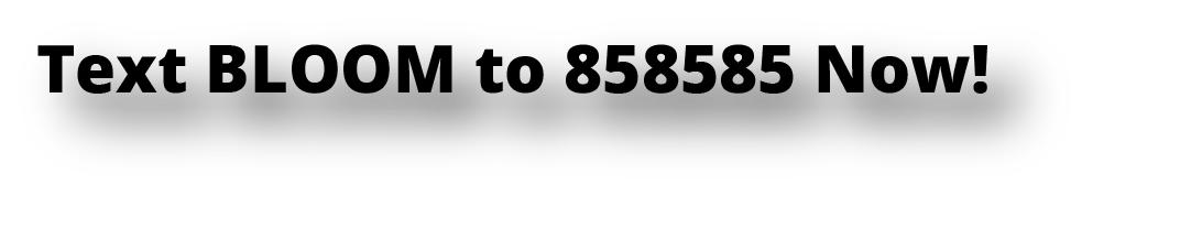 Text Shortcode